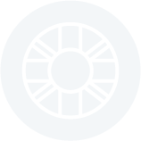 Icon of Swimming Ring